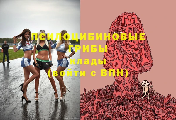 кристаллы Инта