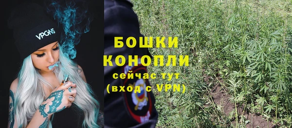кристаллы Инта