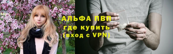 мет Инсар