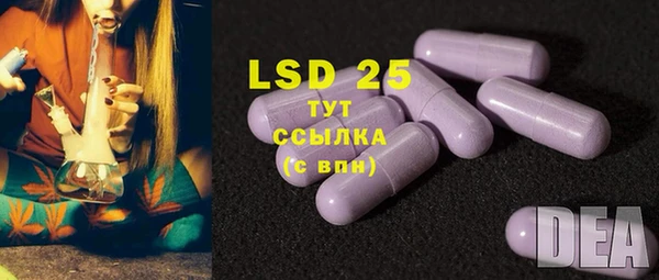 мет Инсар